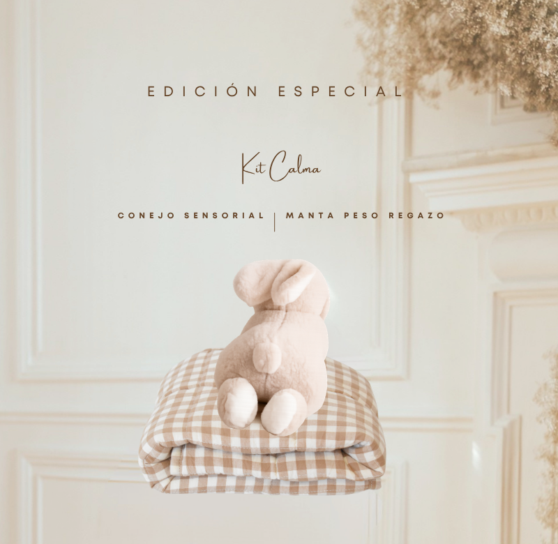 🍃 Kit de Regulación Sensorial  -  🔔  Envío gratis R.M.