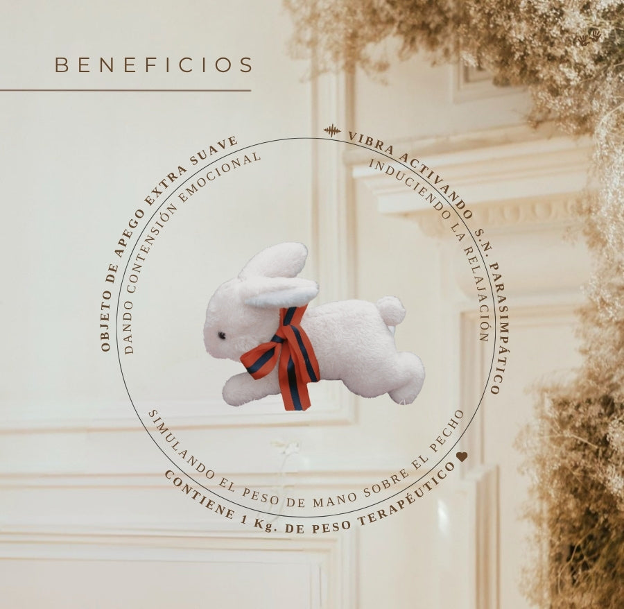 🍃 Kit de Regulación Sensorial  -  🔔  Envío gratis R.M.